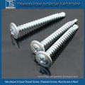 Black Phosphated Truss Head Self Tapping Screw